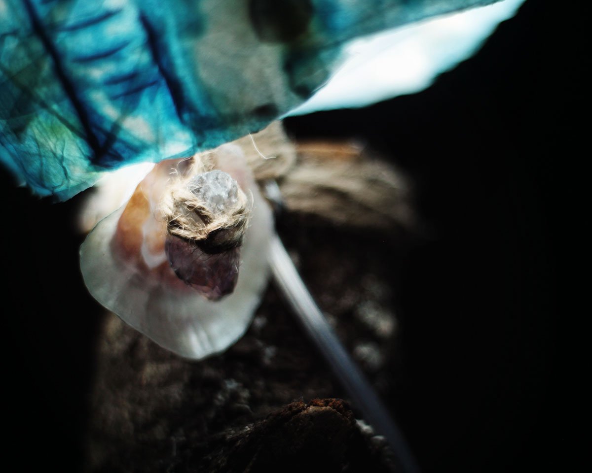 Primer plano de una lámpara encendida mostrando la textura de los materiales naturales.